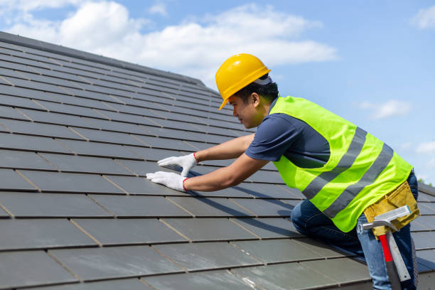 Best Roof Gutter Cleaning  in Andale, KS