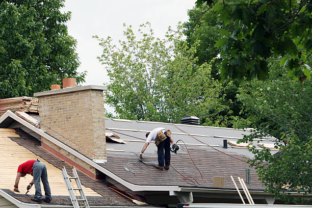 Best Storm Damage Roof Repair  in Andale, KS