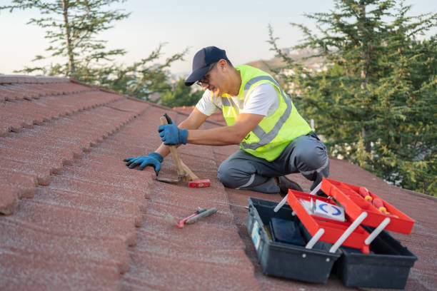 Roof Gutter Cleaning in Andale, KS